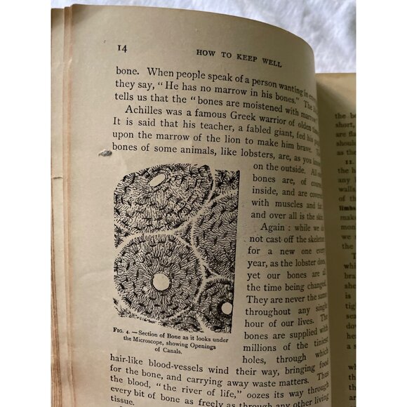 How To Keep Well By Albert F. Blaisdell Hardcover Book 1890 Ginn & Company Colle - Picture 16 of 16